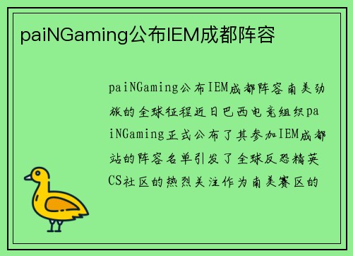paiNGaming公布IEM成都阵容