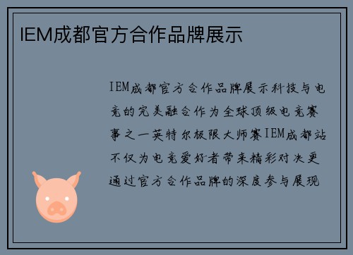 IEM成都官方合作品牌展示